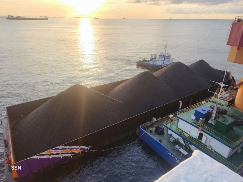 Mother Vessel Bulk Carrier Loading at Offshore Anchorage
